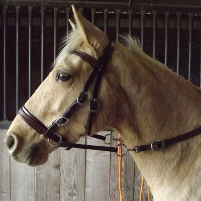 Bitless Bridle Side Pull Freedom Rider