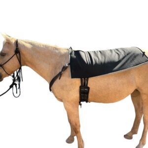 Hippotherapy Pad-Full Length